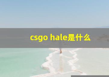 csgo hale是什么